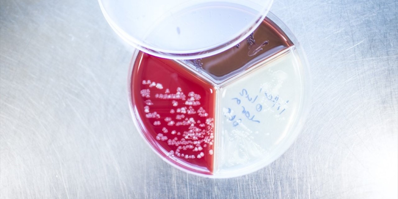 Türk bilim insanlarından Kovid-19 araştırmalarına katkı verecek yeni keşif