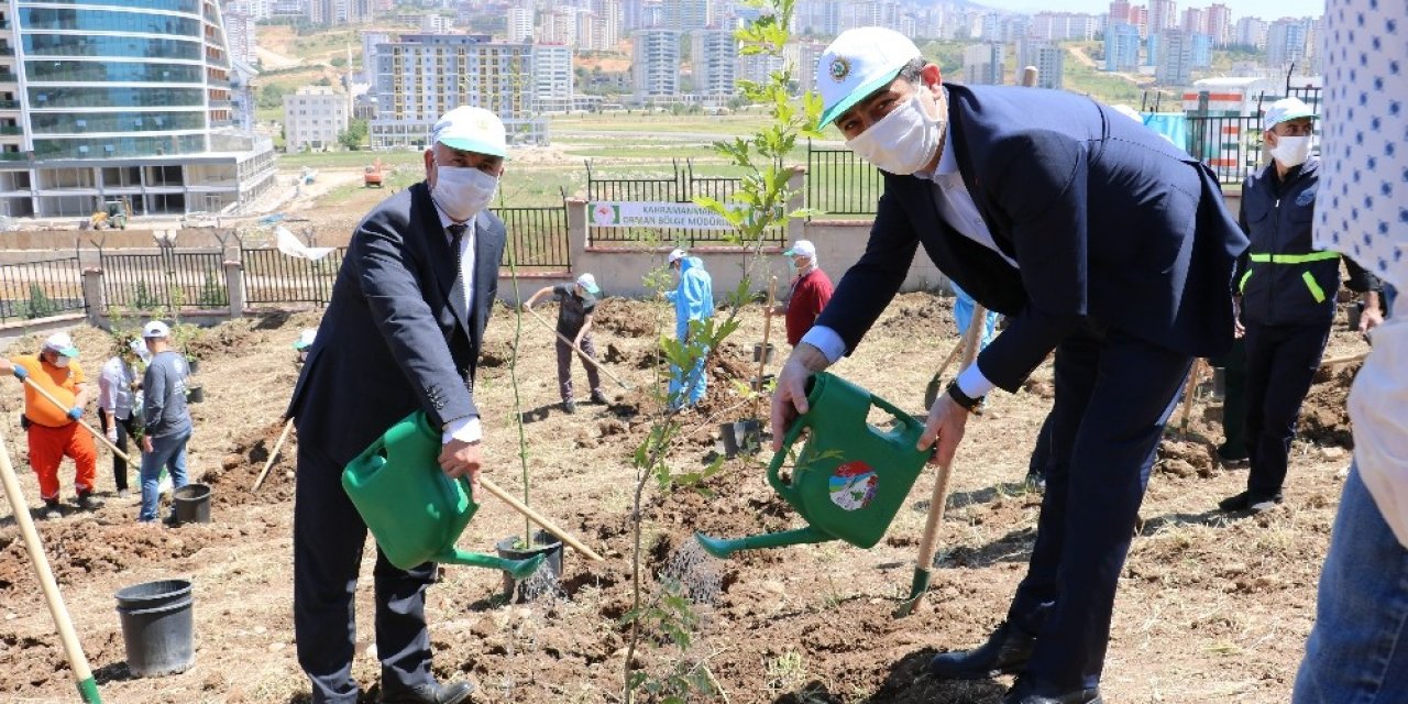 Kahramanmaraş’ta 400 sağlık çalışanı için 400 fidan
