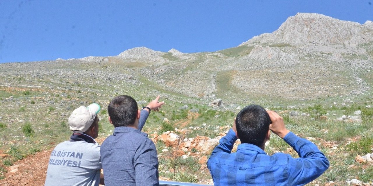 Mantar toplamak için gittiği dağda cansız bedeni bulundu