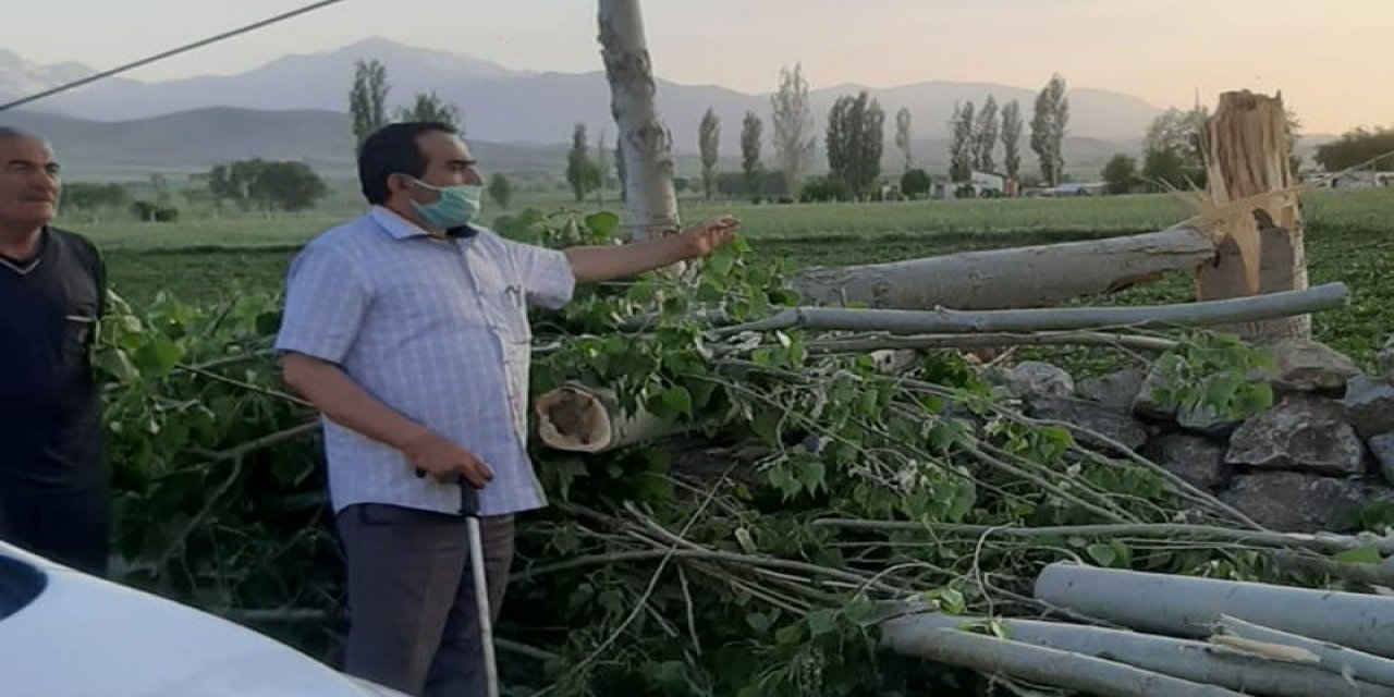 Elbistan'da fırtına, ağaçları devirip elektrik direklerini büktü