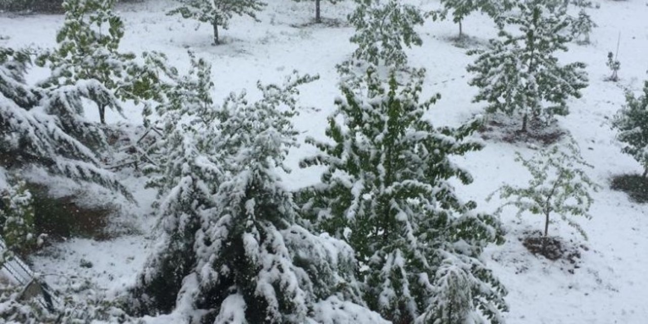 Mayıs’ta kartapu oynadılar