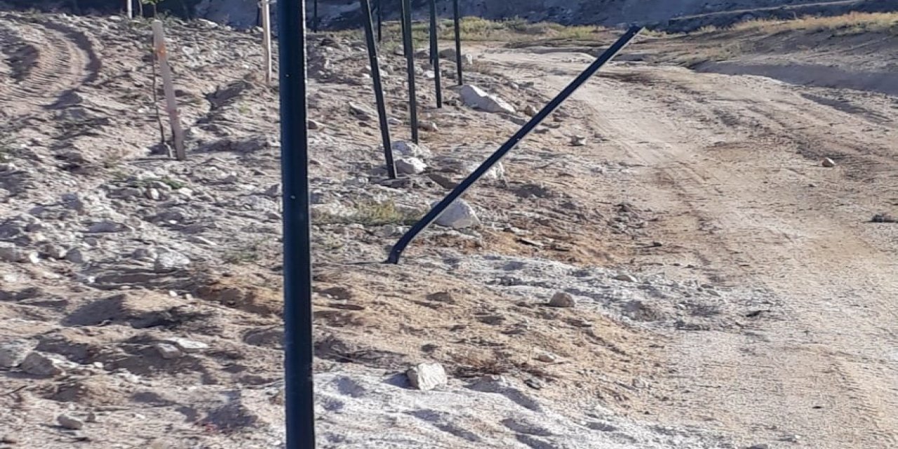 Örnek gösterilen bahçedeki armut fidanlarına zarar verdiler