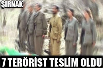 Şırnakta 7 terörist teslim oldu