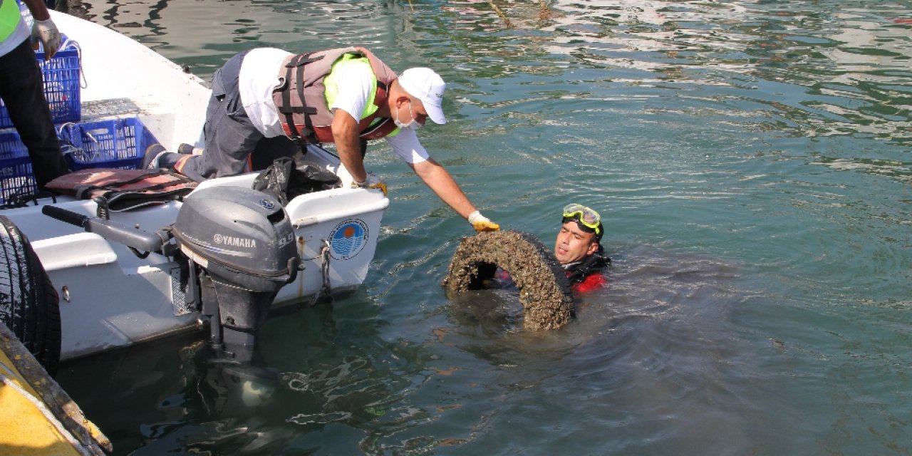 Denizden çıkanlar ‘bu kadarına da pes’ dedirtti