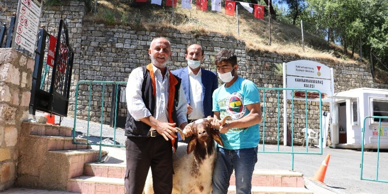 Kahramanmaraş Kalesinin açılışına sevindi, koç kurban etti