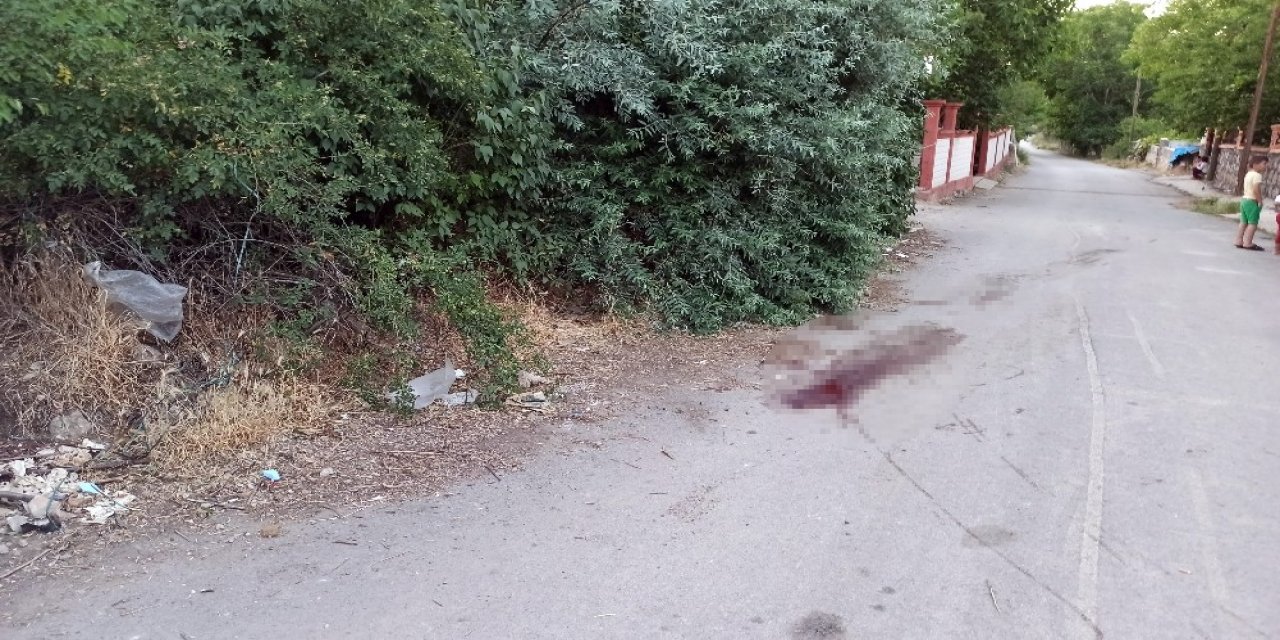 Cinnet getiren öğretmen 40 yıllık komşularına satırla saldırdı