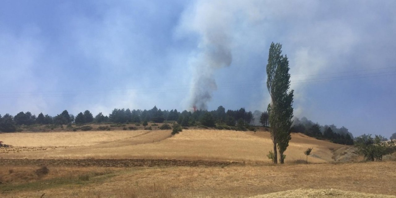 Kahramanmaraş’ta 3 hektar ormanlık alan yandı