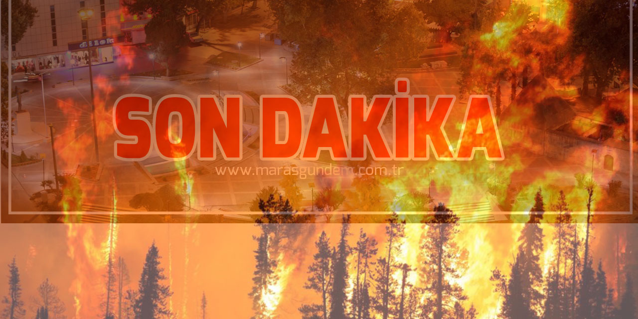 Gaziantep'te çıkan orman yangınına Kahramanmaraş’tan yardım gitti