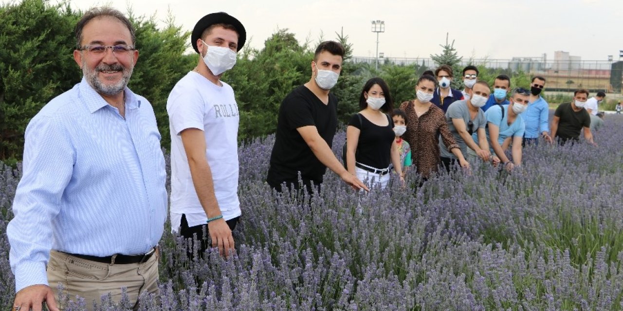 Afşin Belediyesi lavantadan 2 milyon gelir bekliyor