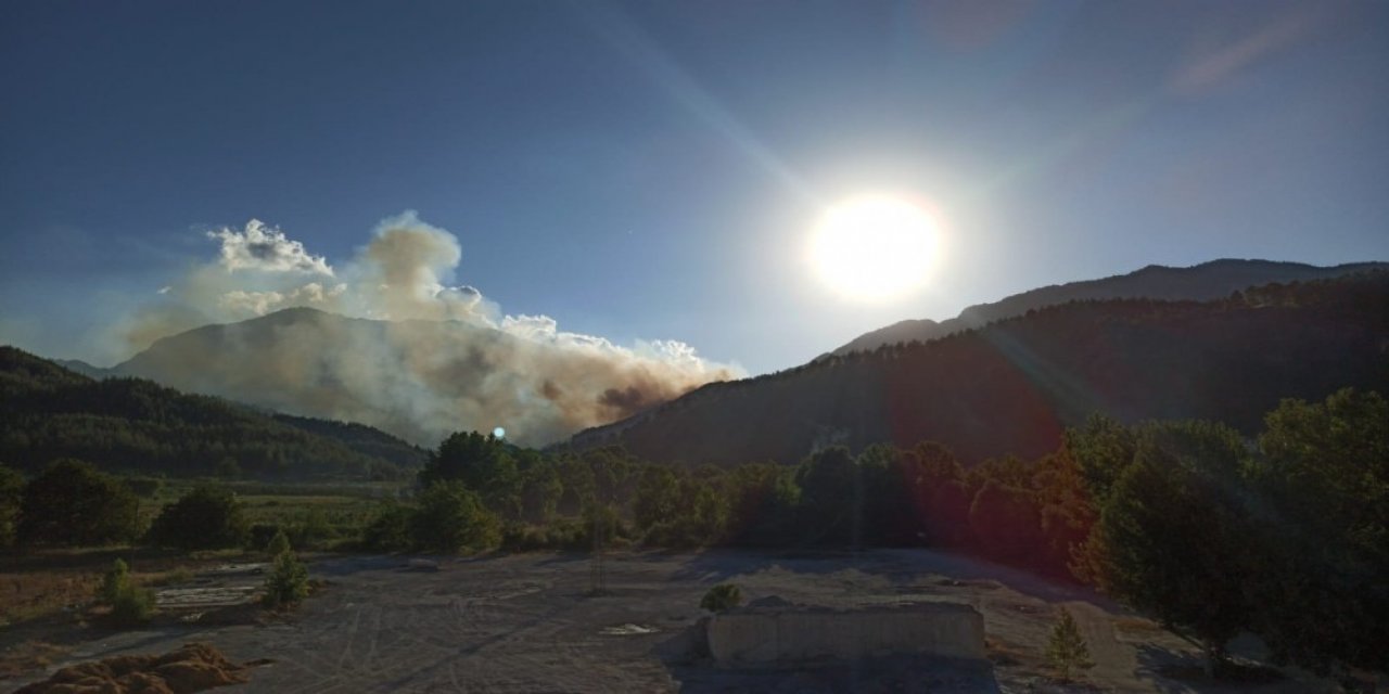 Kahramanmaraş'ın ciğerleri kül oldu