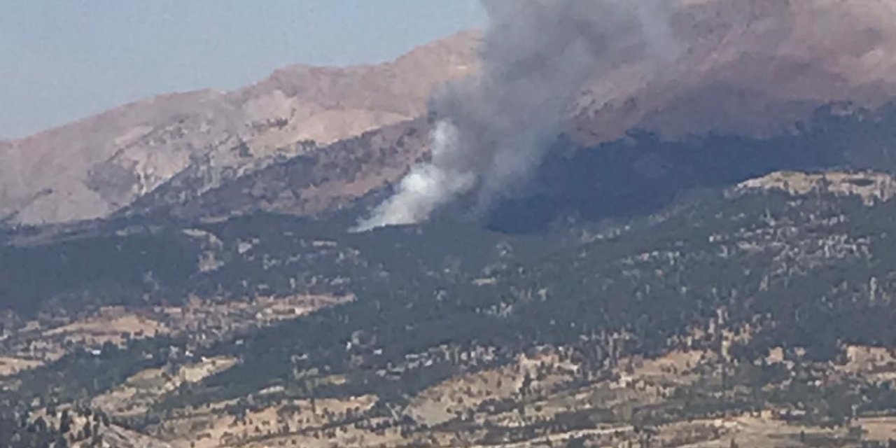 Kahramanmaraş Bertiz Ağabeyli’de orman yanıyor