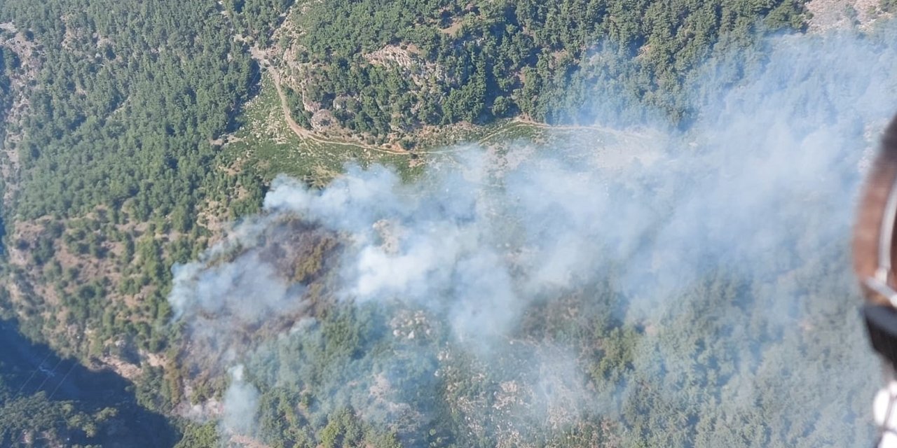 Hatay’daki orman yangınında 2 hektarlık alan zarar gördü