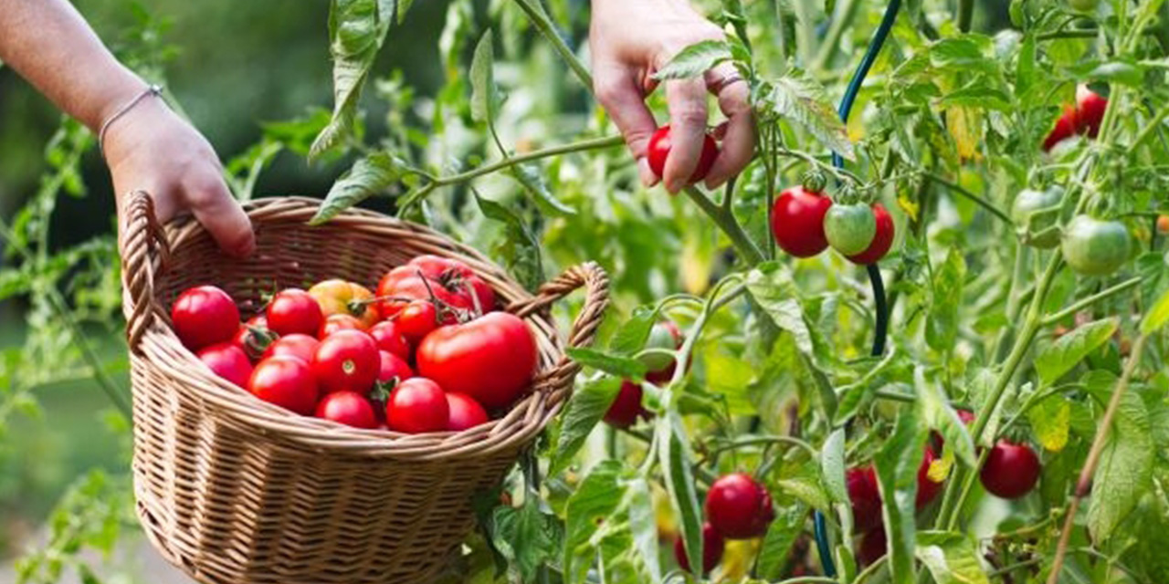 Kahramanmaraş’ta 5D formülü ile sağlıklı tarım yapılacak