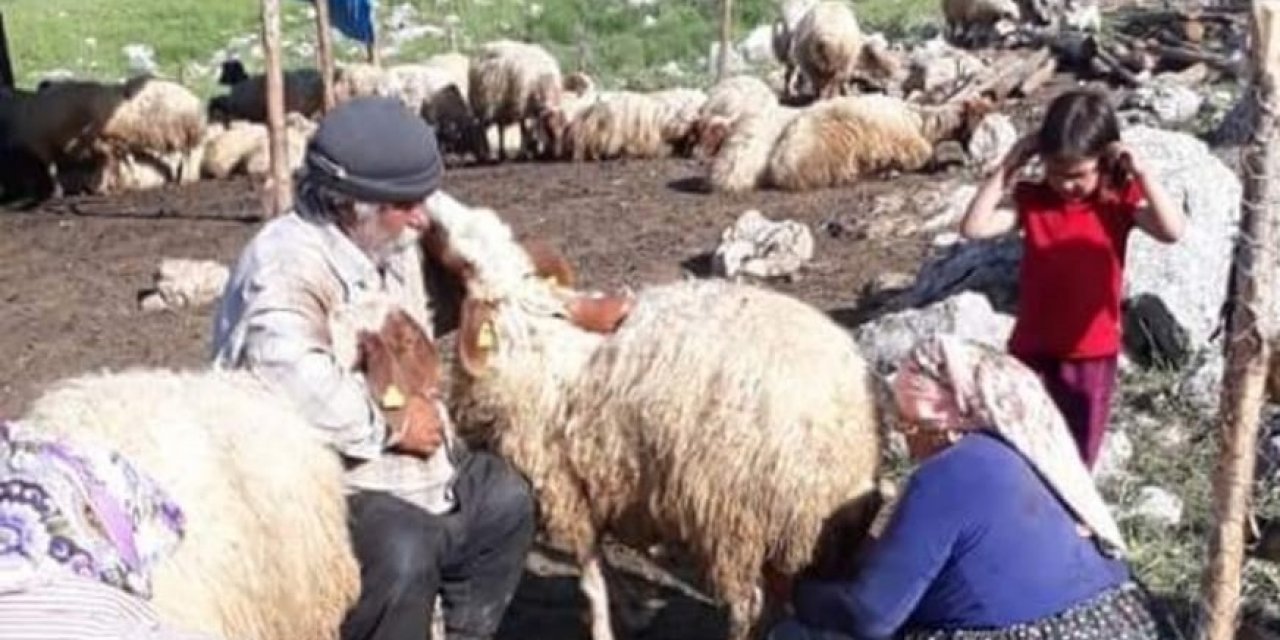 Kahramanmaraş Otlu peynirin sofralara uzanan lezzet yolculuğu