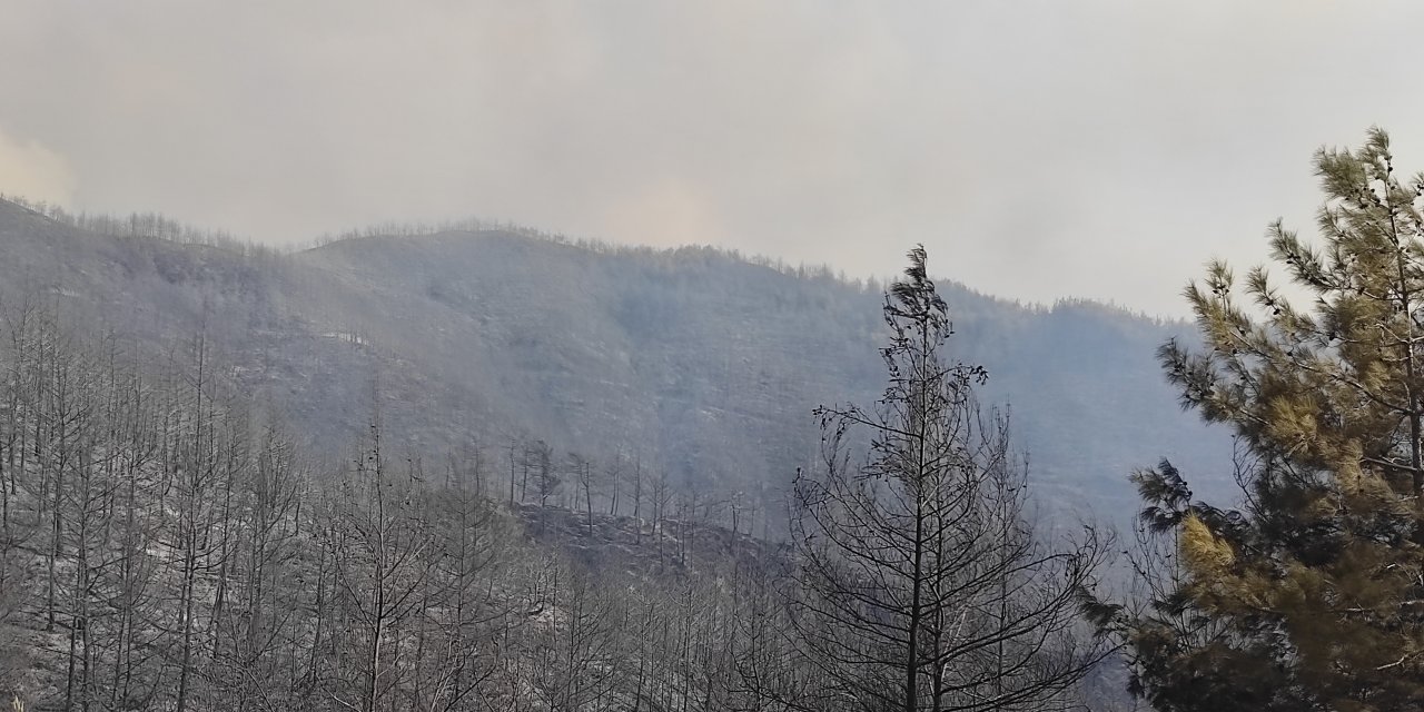  Hatay'daki orman yangını kontrol altına alındı