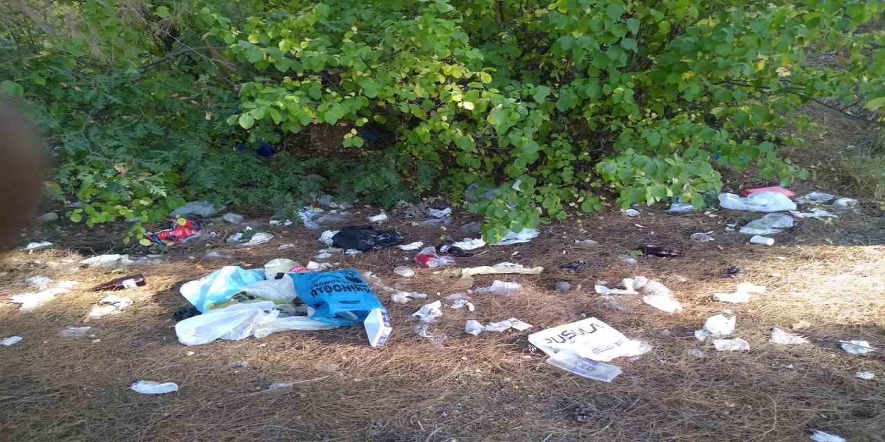 Kahramanmaraş’taki ormanlık alan çöplüğe döndü