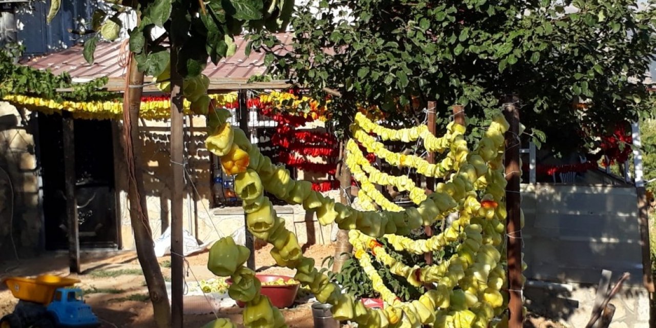 Yaz lezzetleri kışa hazırlanıyor