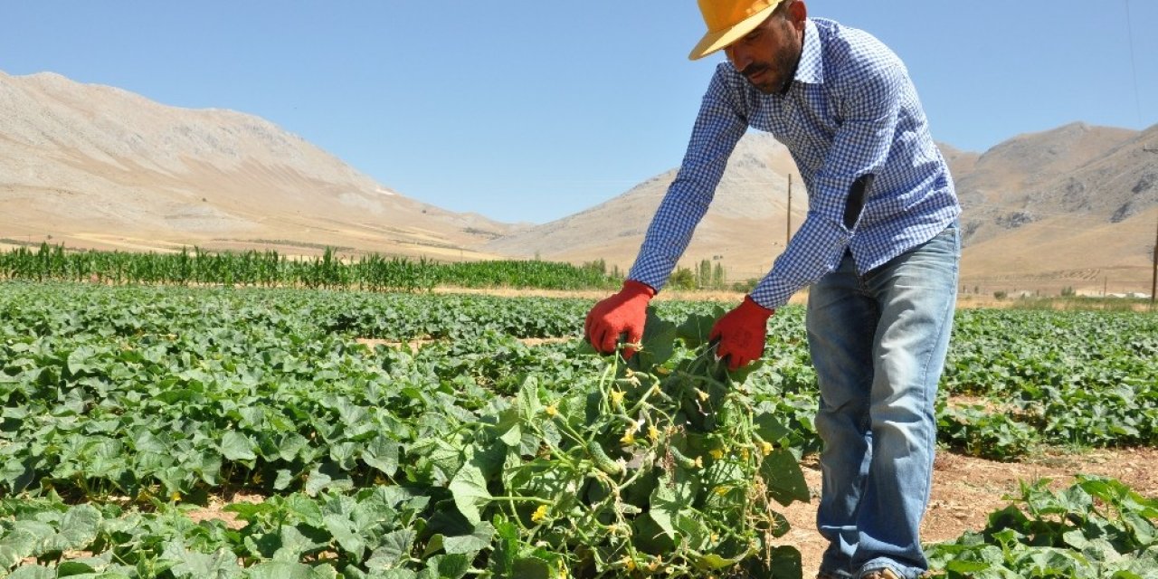 Elbistanlı Hayırseverler destek verdi, o emeği ve alın teriyle üretti