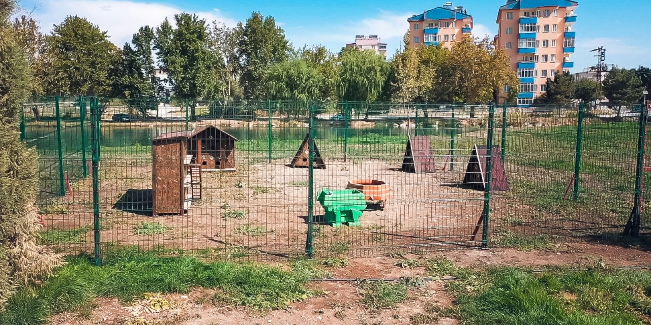 Elbistan Belediyesi kedilere özel park yaptı