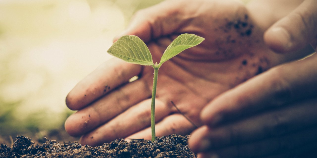 Yemeksepeti kullanıcılarından doğaya destek