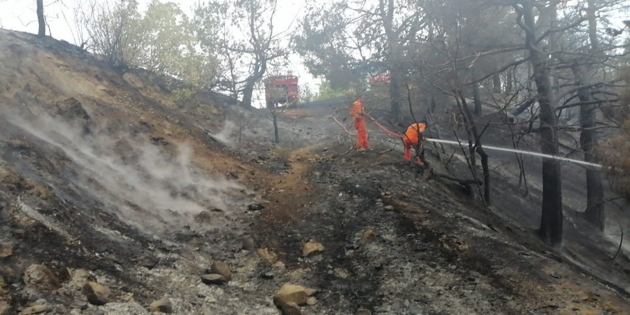 Kahramanmaraş’ta 1 hektar ormanlık alan zarar gördü