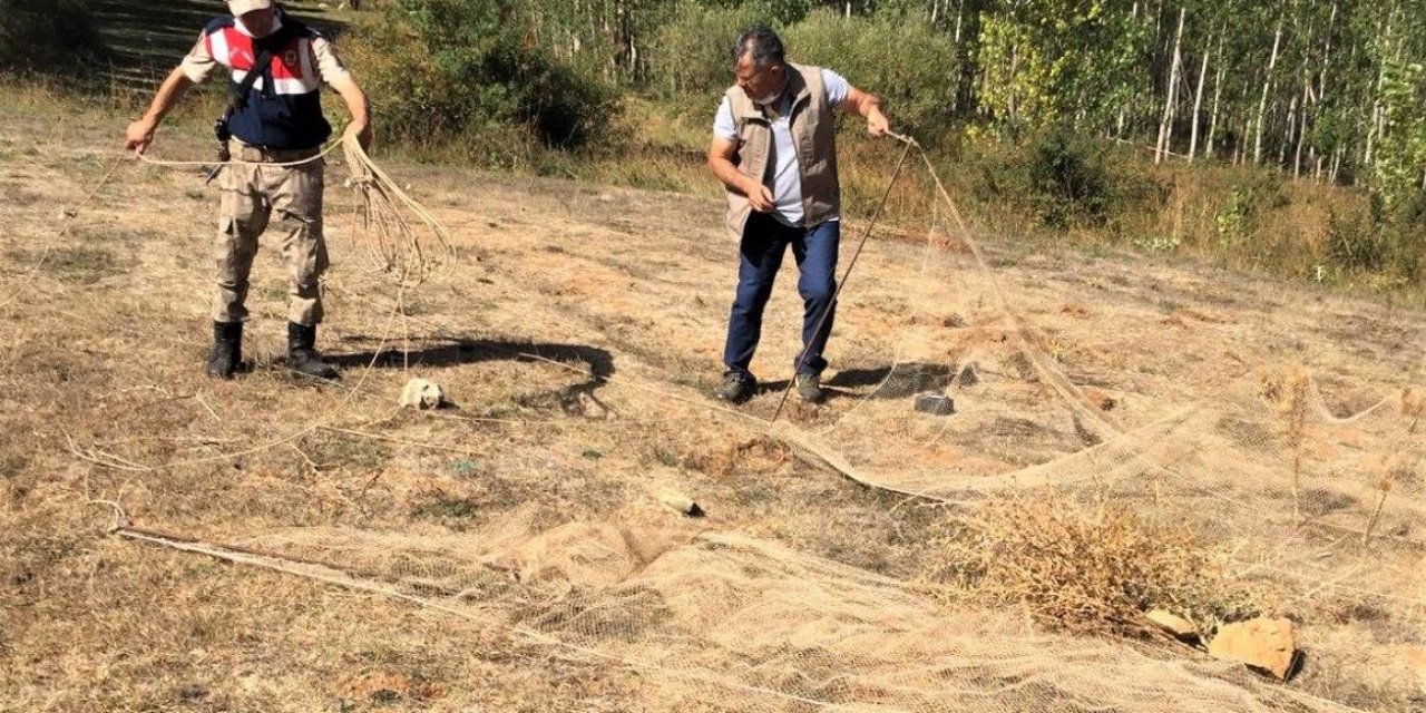 Göksun’da kaçak Saka kuşu avcıları yakalandı
