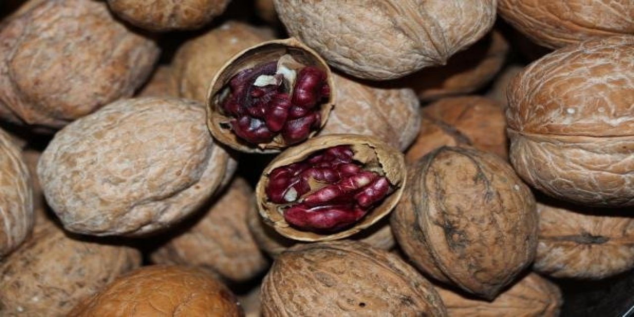 Kahramanmaraş’ta üretilen melez ceviz "Diriliş" ilk ürünleriyle sevindirdi