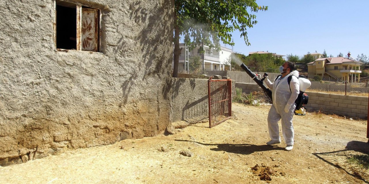Kahramanmaraş’ta üçgün hastalığı ile mücadele ediliyor