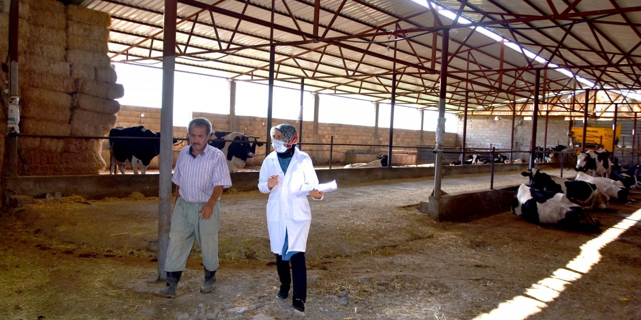Türkoğlu’nda hayvan sağlığı bilgilendirme çalışması yapılıyor
