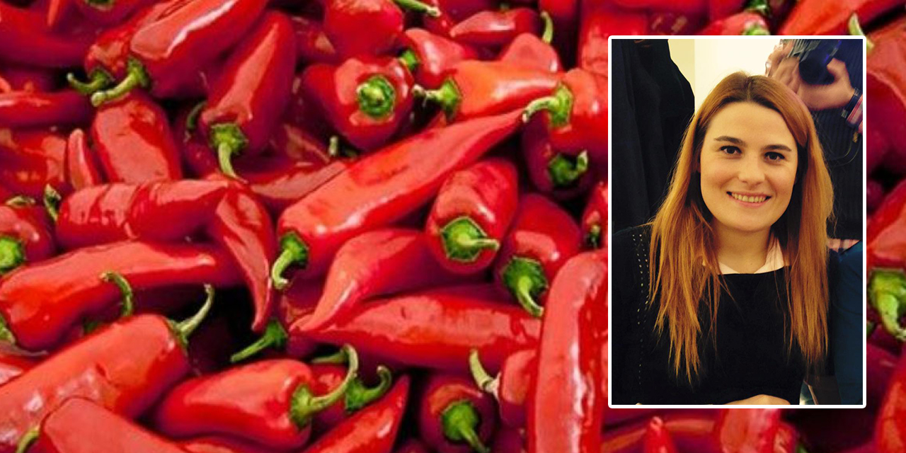 Kahramanmaraş’ta kırmızıbiber ekim alanı azaldı, Gaziantep’te arttı