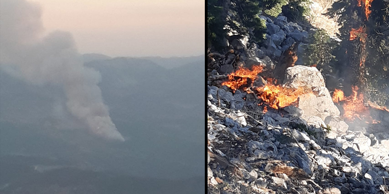Kahramanmaraş’ta orman yangını