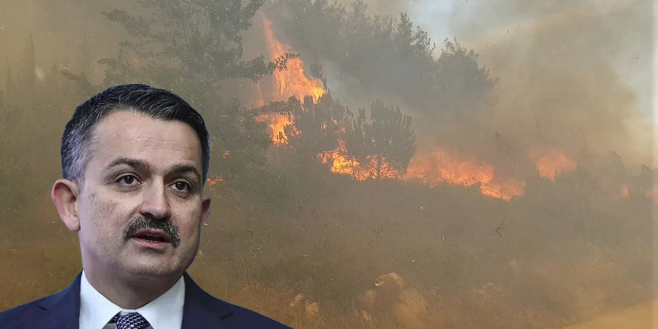 Bakan Pakdemirli Kahramanmaraş’taki orman yangını hakkında konuştu