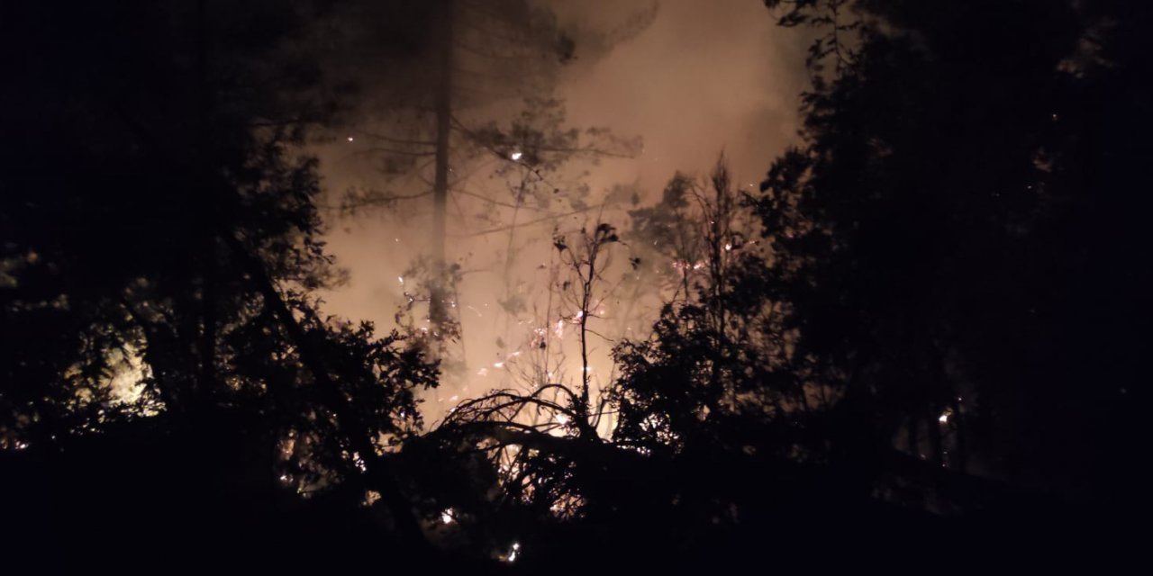 Kahramanmaraş’ta orman yangını kontrol altına alındı