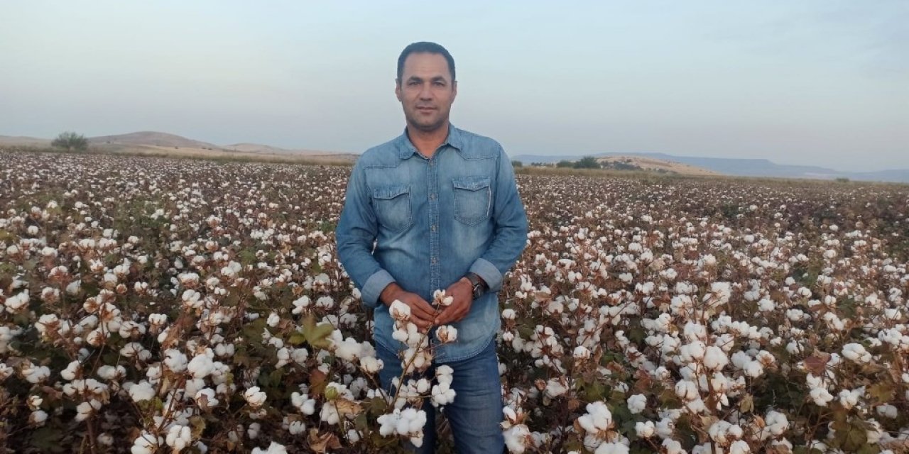 Kahramanmaraş’ta "beyaz altın" hasadı başladı