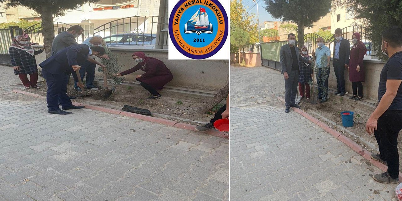 Yahya Kemal İlkokulu yeşillendi