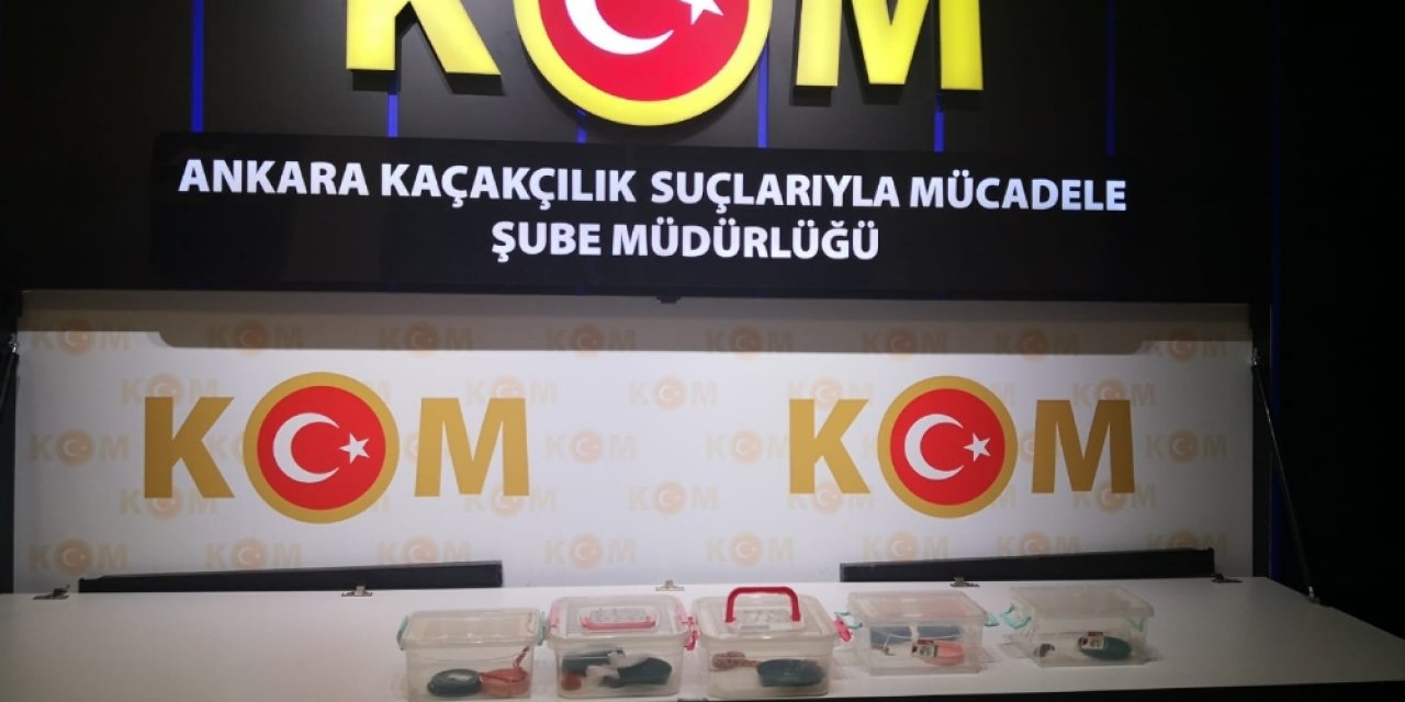 Kaçakçılık ekipleri “Mısır yılanı” ele geçirdi