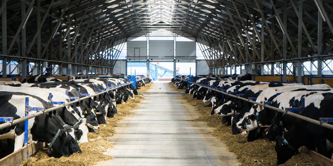 Elbistan Besi OSB’ye bakanlıktan onay çıktı