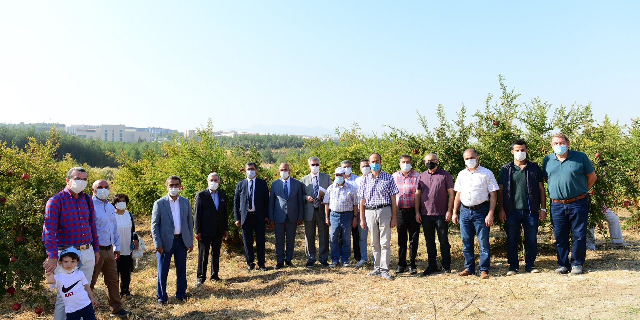 KSÜ’de nar günü etkinliği düzenlendi