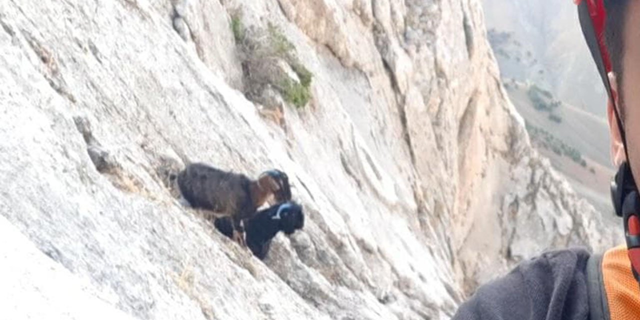 Kahramanmaraş'ta itfaiye dağda mahsur kalan keçiler için seferber oldu