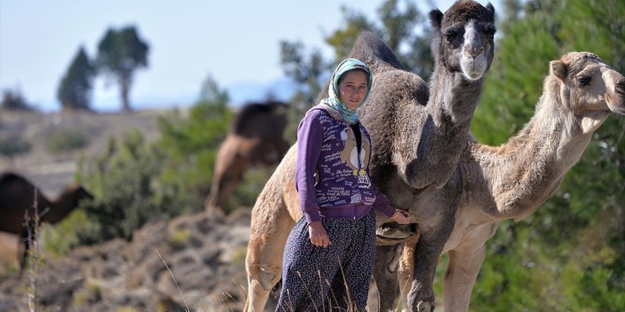 Anadolu'nun bin yıllık konargöçerlik kültürünü Sarıkeçili Yörükleri sürdürüyor