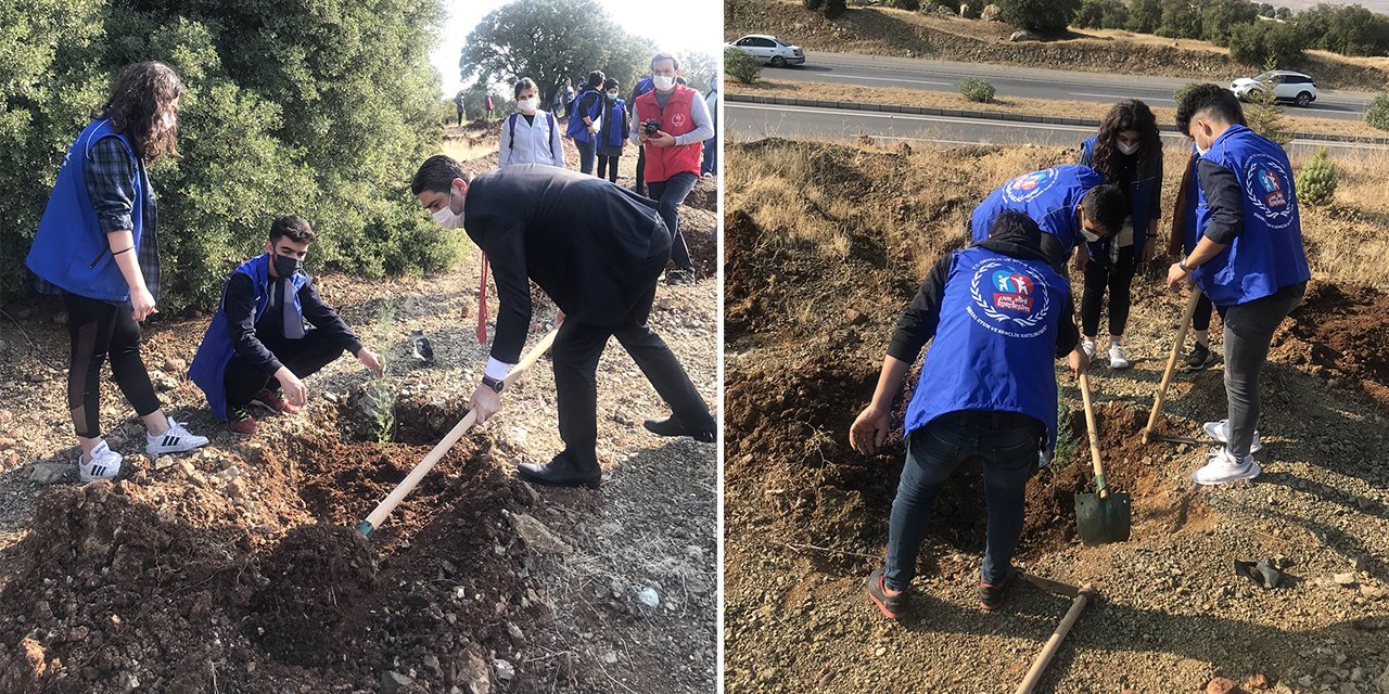 Kahramanmaraşlı gençler fidanları toprak ile buluşturdu