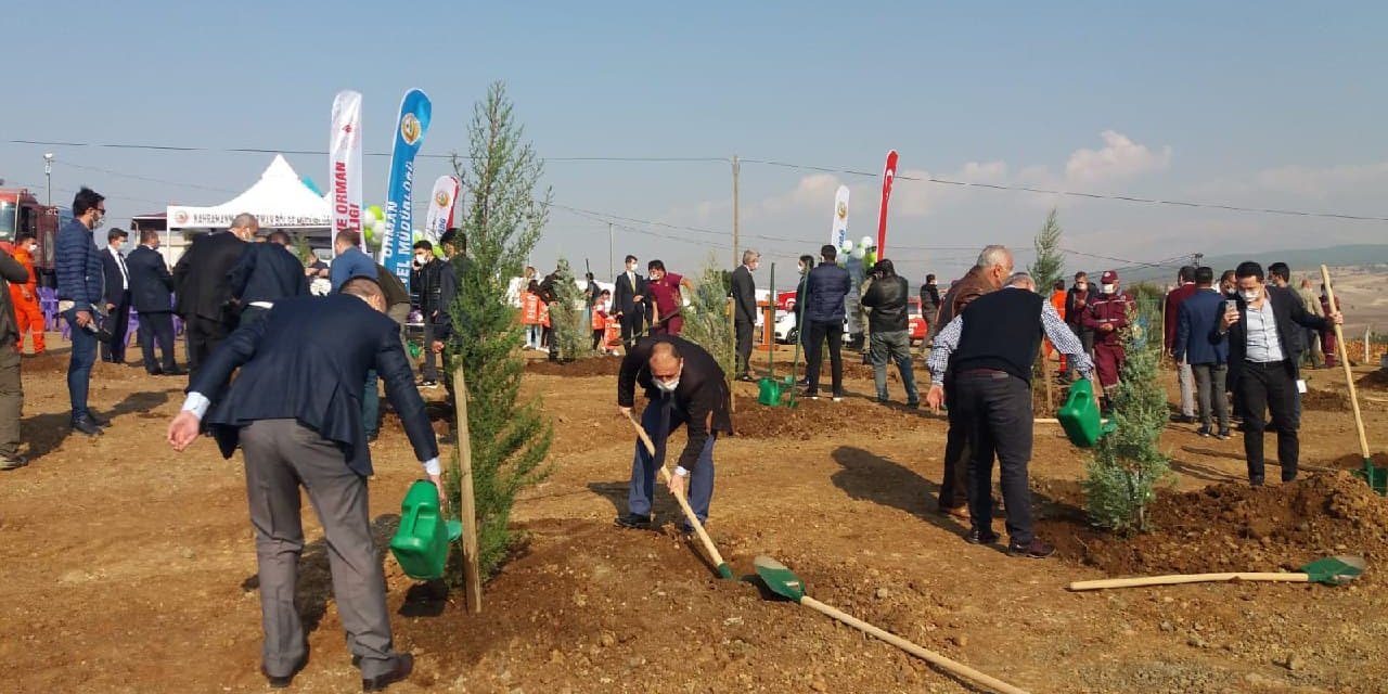 Kahramanmaraş Orman Bölge Müdürlüğü 156 bin 200 fidanı toprakla buluşturdu