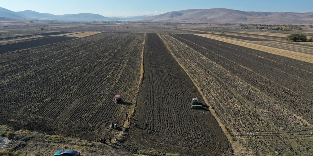 Elbistan'da ata tohumu "Siyez buğdayı"nın deneme ekimi yapıldı