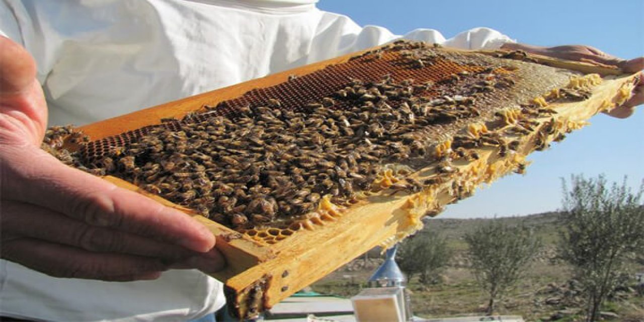 Kahramanmaraşlı bal üreticileri bu yıl taleplere yetişmekte zorlanıyor