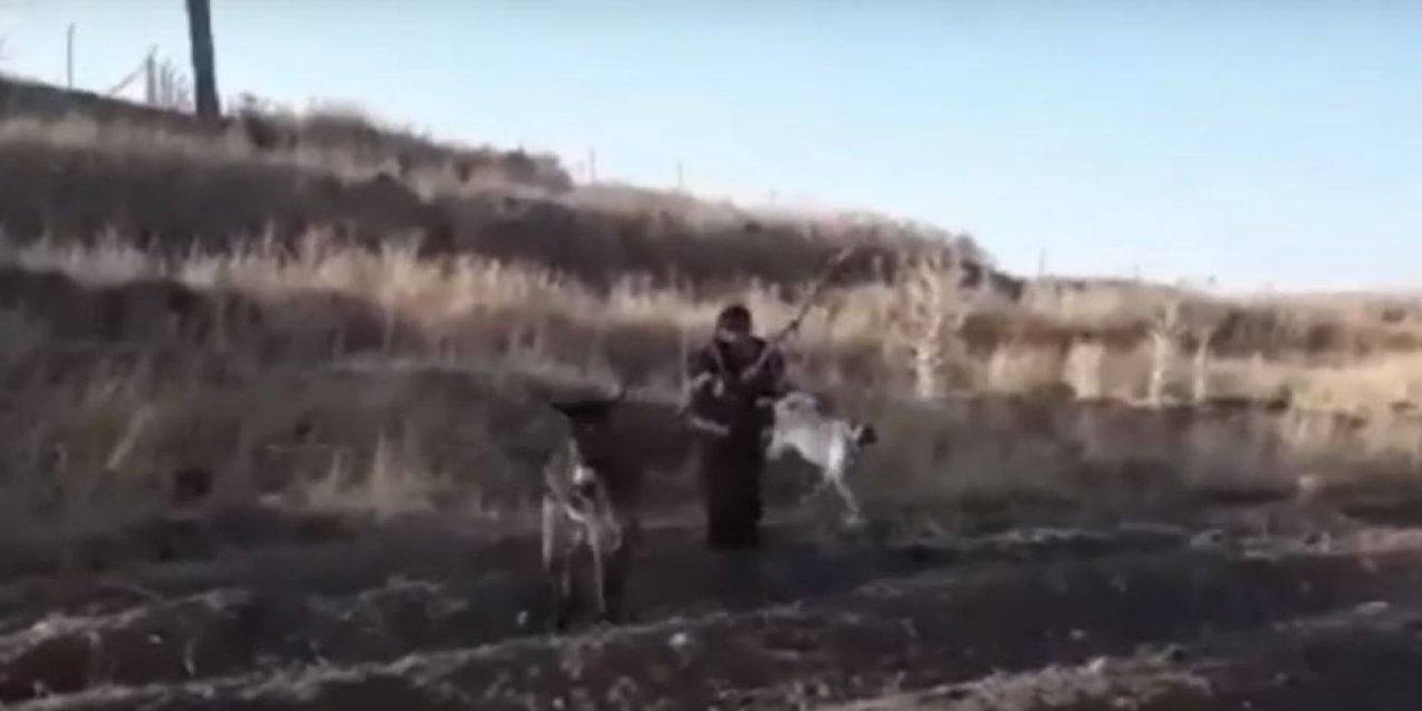 Kahramanmaraş'ta eşeğe işkence yapan kişiler gözaltına alındı