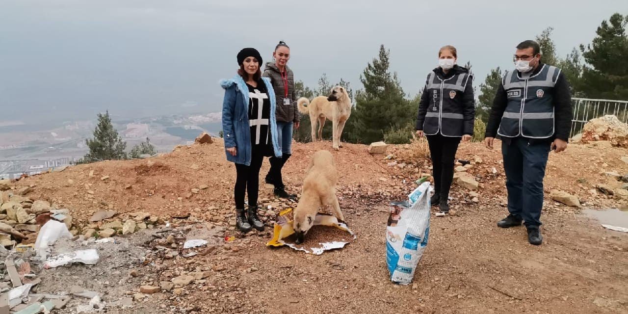 Kahramanmaraş'ta polis ekipleri bu kez sokak hayvanları için görevde