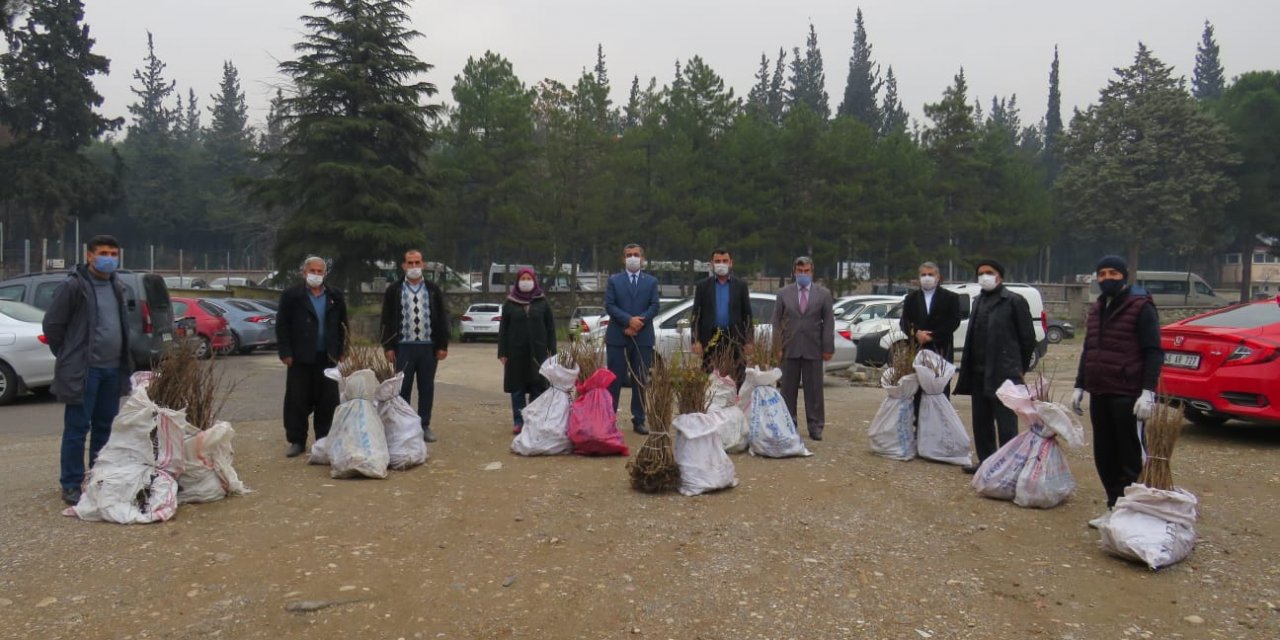 Kahramanmaraş’ta çiftçilere sumak fidanı dağıtıldı