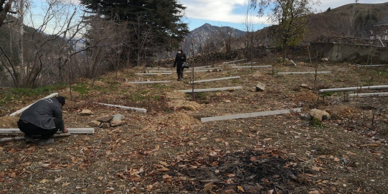 Kahramanmaraş’ta kivi yetiştiriciliği yaygınlaştırılıyor