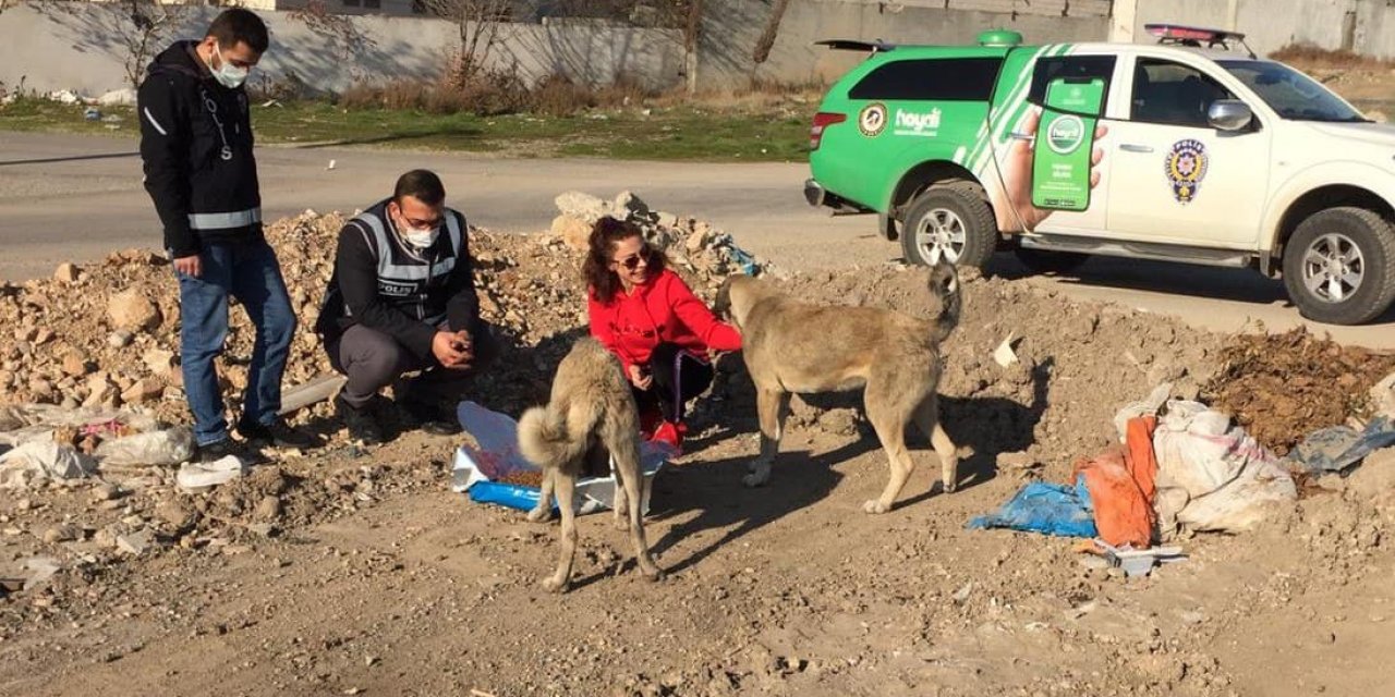 Kahramanmaraş'ta sokak hayvanları unutulmadı