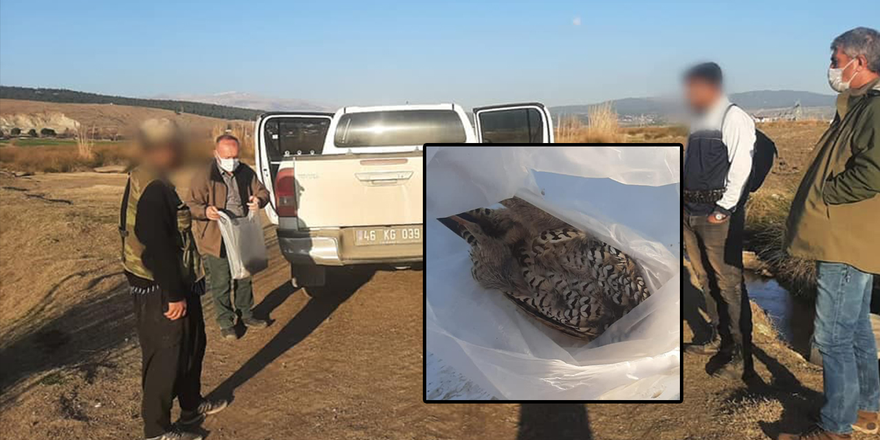 Kahramanmaraş'ta koruma altındaki kuşları avlayan 2 kişi ceza
